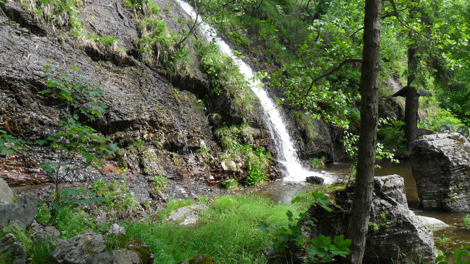 Harz Wasserfälle