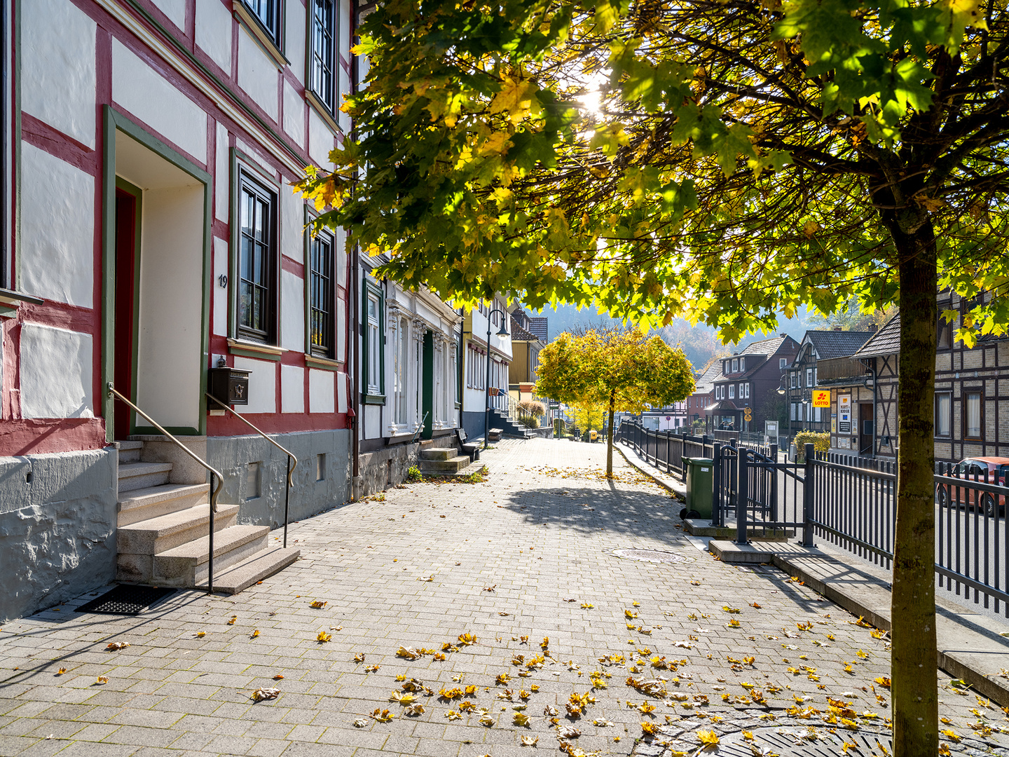 Harz - Zorge - Herbstlich I