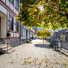 Harz - Zorge - Herbstlich I