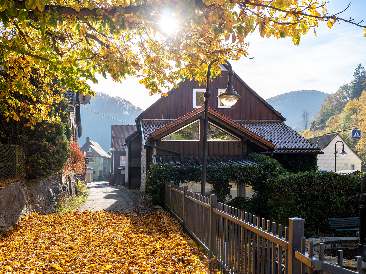 Harz - Zorge - Herbstlich III