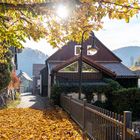 Harz - Zorge - Herbstlich III