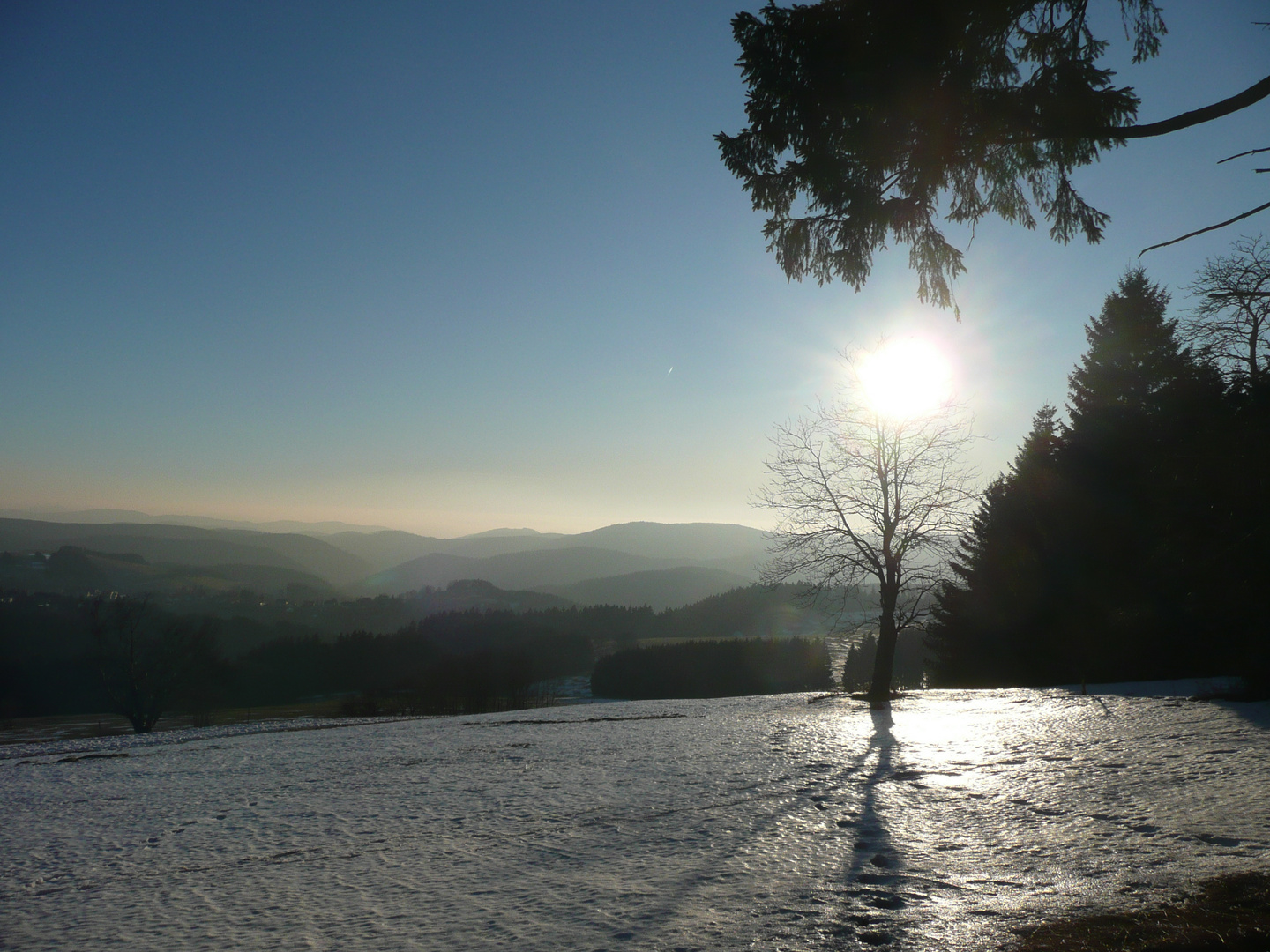 Harz1