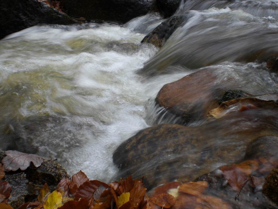 Harz4