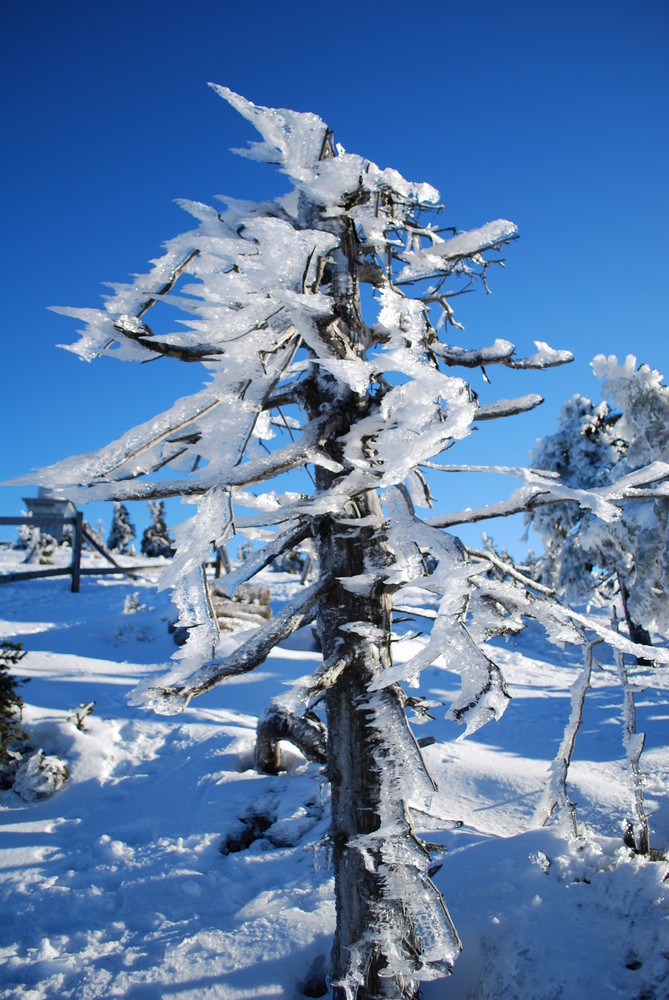 HARZ_A