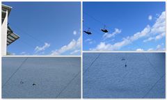 Harzadrenalin MEGAZIPLINE - RAPPBODETALSPERRE