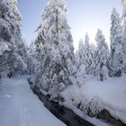 Harzausflug... wollte endlich mal Schnee sehen! ;-)