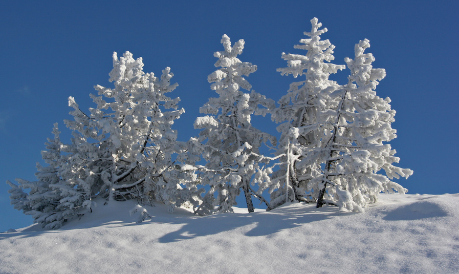 Harzausflug... wollte endlich mal Schnee sehen!! ;-)