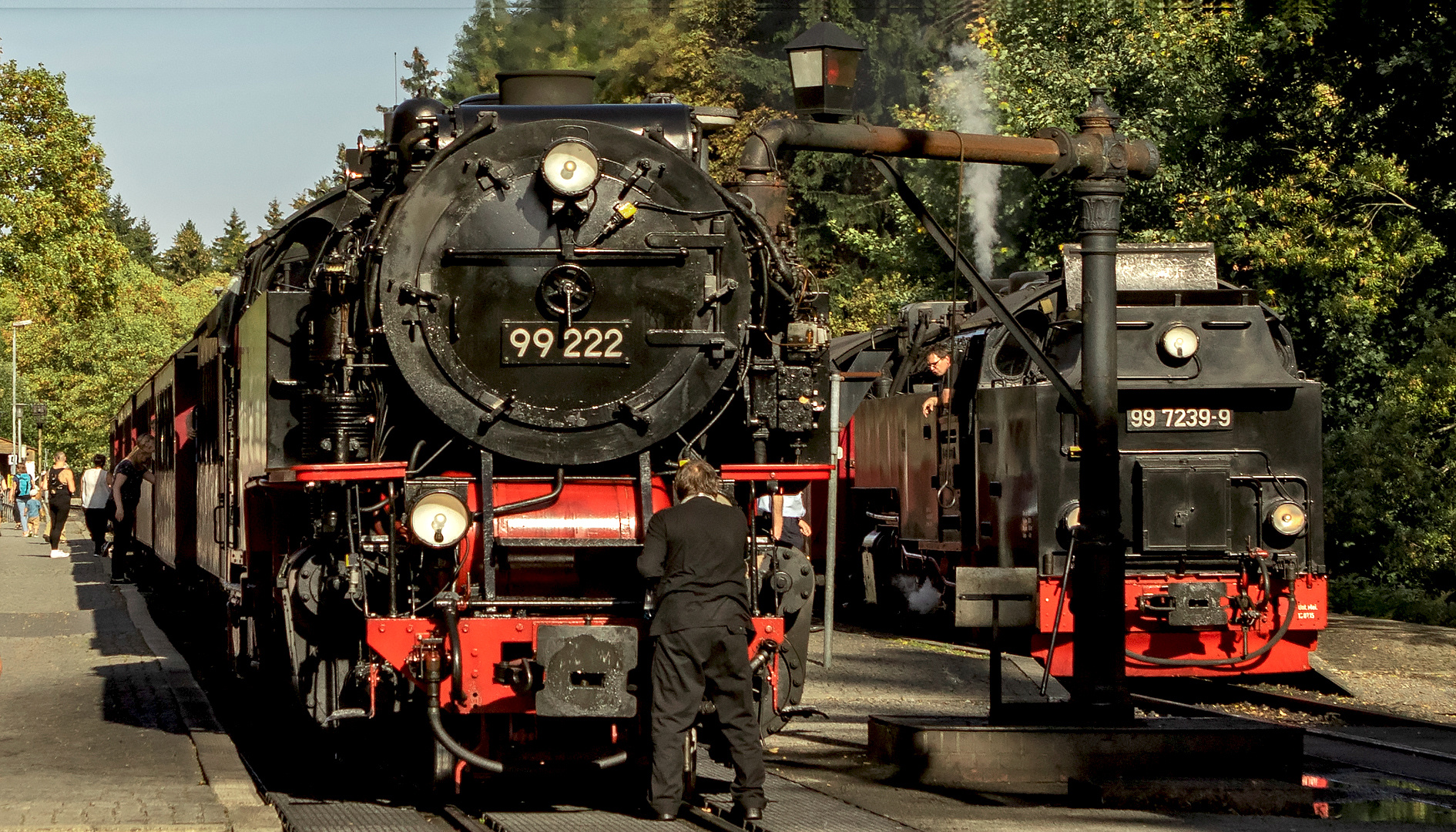 Harzbahnen 