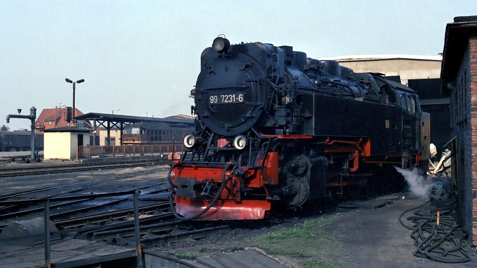 Harzbulle in Wernigerode