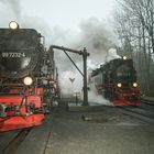 Harzdampf am Bahnhof Drei Annen Hohne