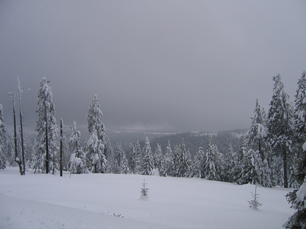 Harzer Aussicht im Februar 2009