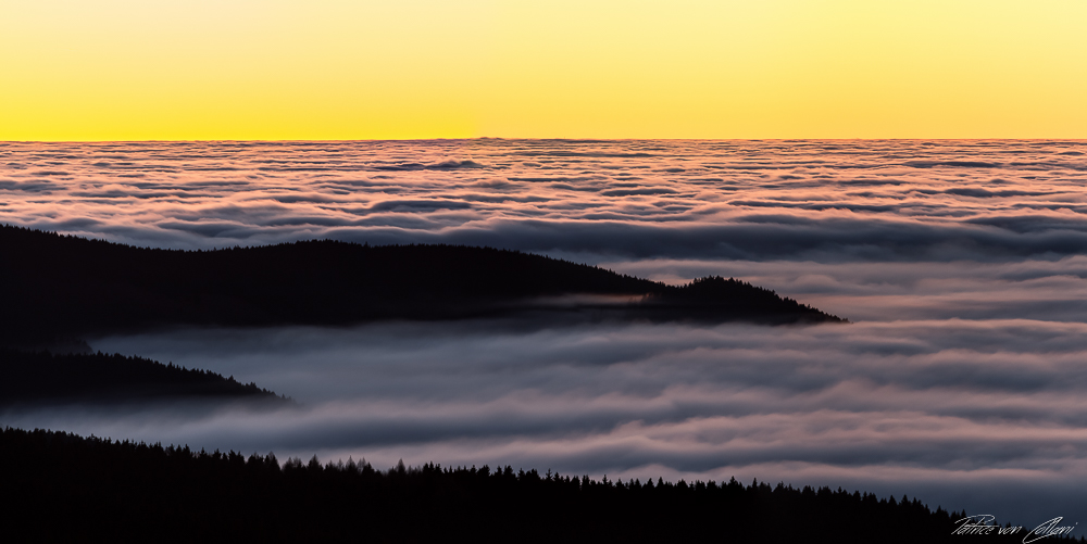 Harzer Fog Panorama
