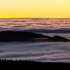 Harzer Fog Panorama