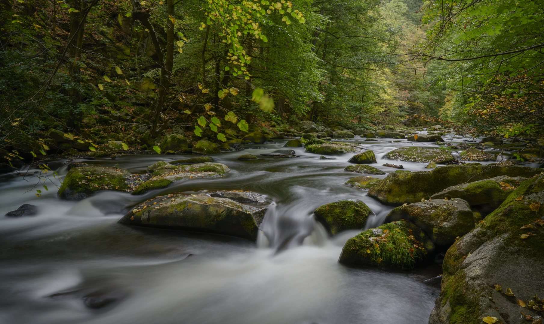 Harzer Gebirgsfluss