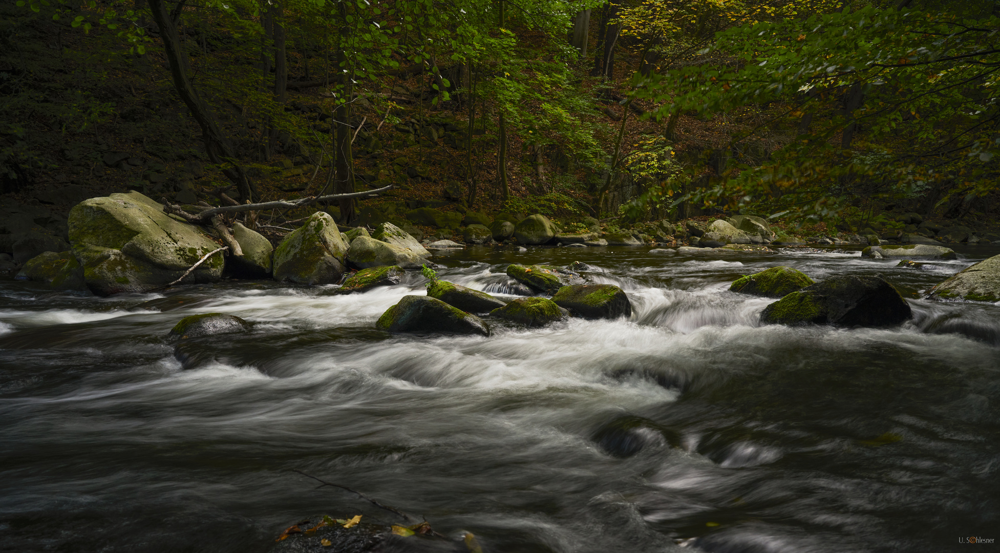 Harzer Gebirgsfluss II