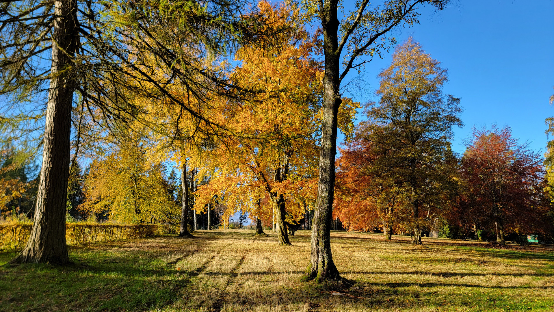 Harzer Herbst...