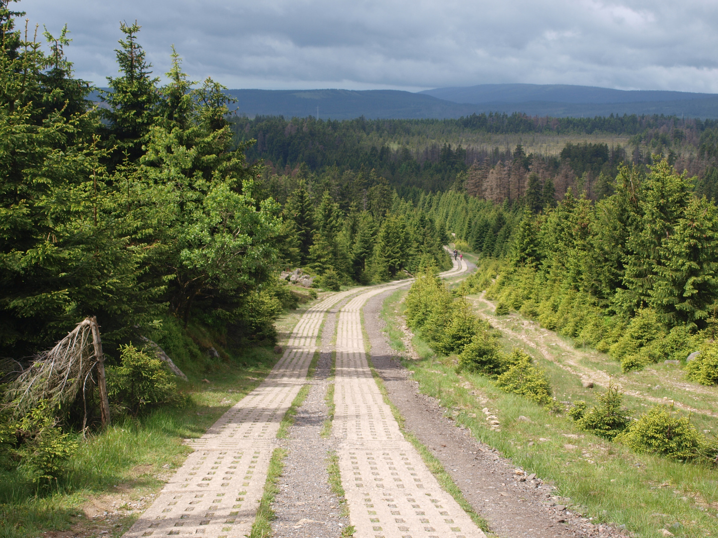 Harzer Hexenstieg auf den Brocken.