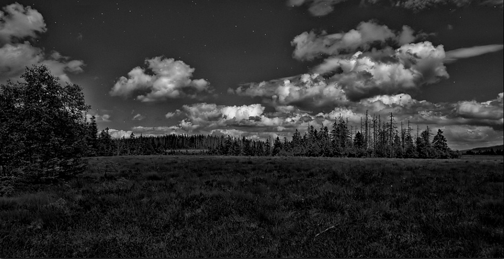 Harzer Hochmoor bei Nacht