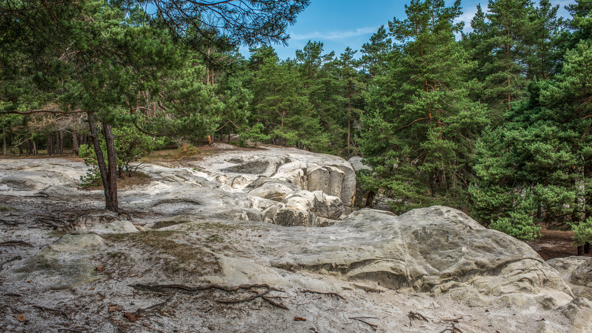 Harzer Landschaft