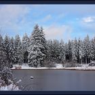 Harzer Marienteich im November-Schnee
