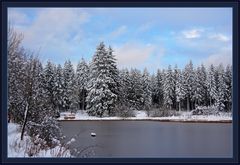 Harzer Marienteich im November-Schnee