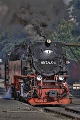 Harzer Schmalspur Bahn (HSB) im Bahnhof "Drei Annen Hohne" 2...