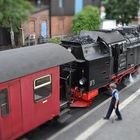 Harzer Schmalspur Bahn in Wernigerode (1)