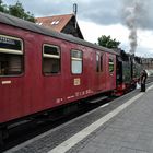 Harzer Schmalspur Bahn in Wernigerode (2)