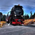 Harzer Schmalspurbahn 99 7239-9