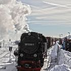 Harzer Schmalspurbahn Abfahrt vom Brocken