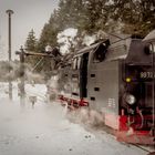 Harzer Schmalspurbahn beim Tanken 1