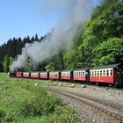  Harzer Schmalspurbahn nahe Schierke