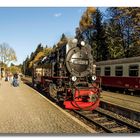 Harzer Schmalspurbahn zum Brocken #4