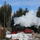 Harzer Schmalspurbahnen 2018