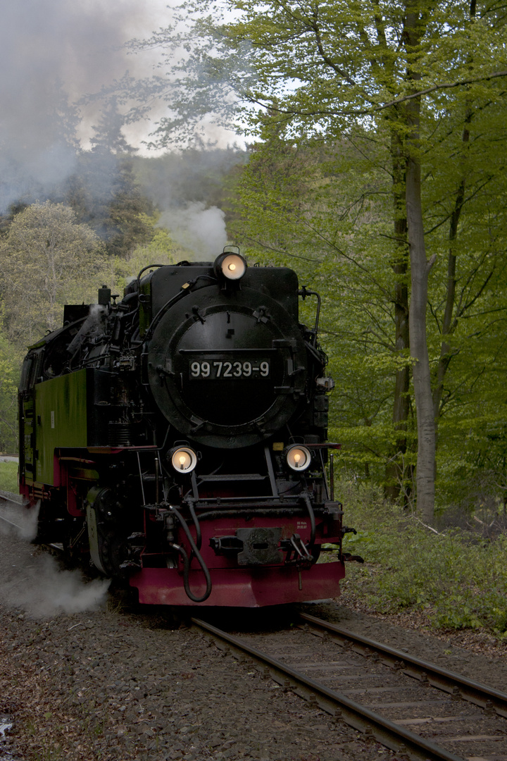 Harzer Schmalspurbahnen