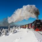 Harzer Schmalspurbahnen (HSB) 99 7235-7 | Brocken | 20.01.2019