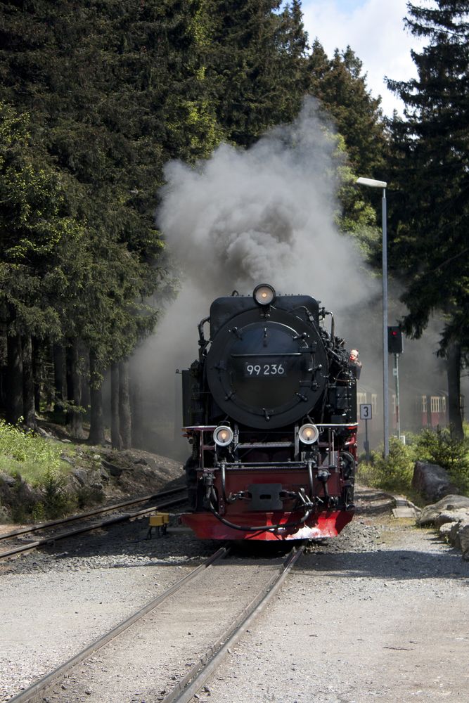 Harzer Schmalspurbahnen II