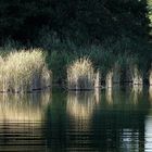 Harzer Teich 2