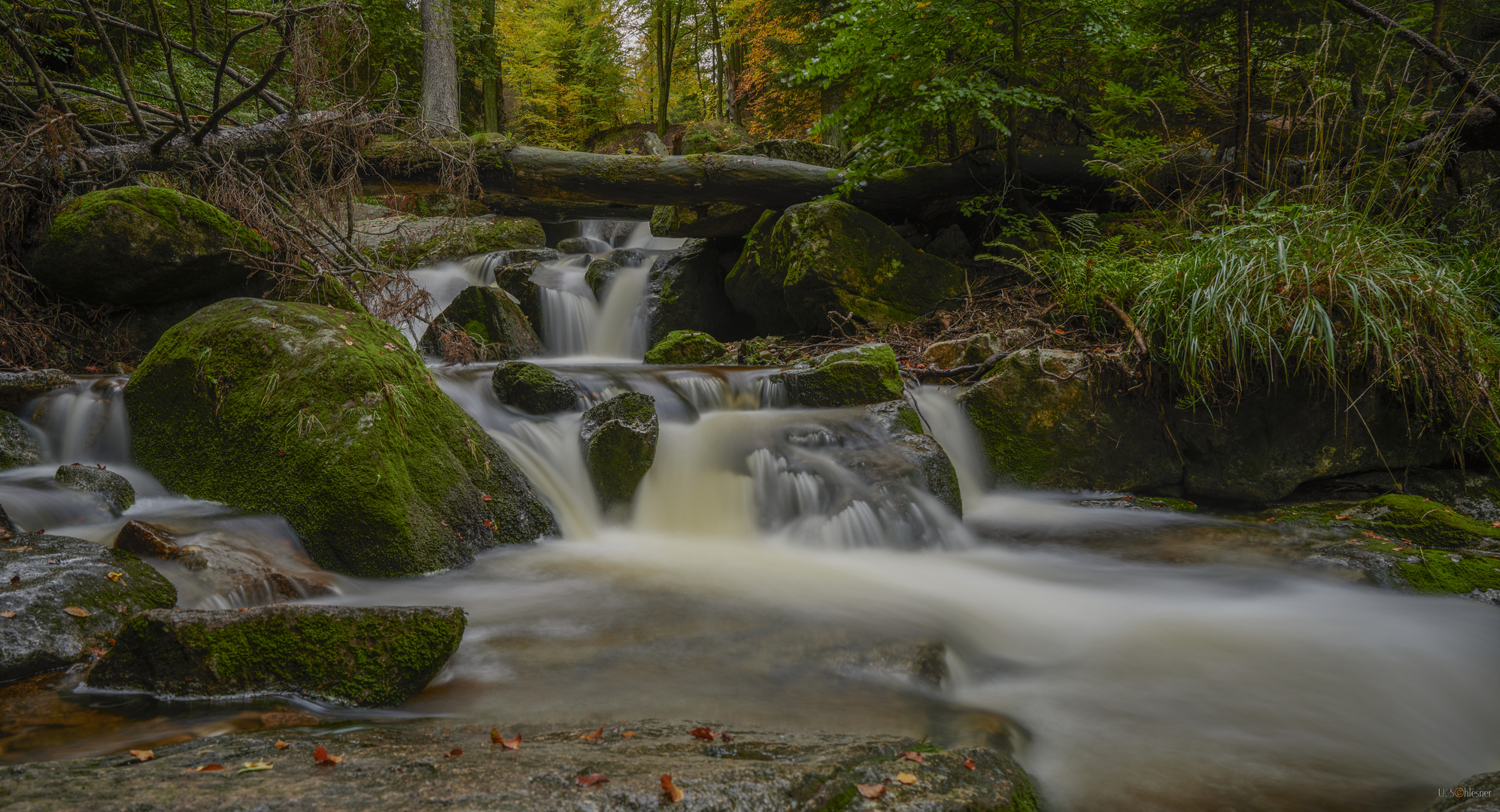 Harzer Wasser