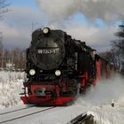 Harzer Wintermärchen - Winterausflug mit der HSB nach Drei Annen Hohne 7..