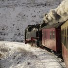 Harzer Wintermärchen - Winterausflug mit der HSB zurück nach Nordhausen.