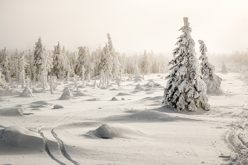 Harzer Wintertraumlandschaft