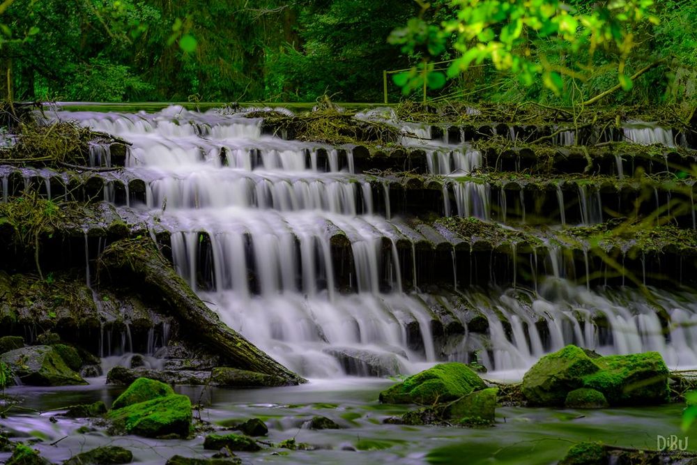 Harzerwasser