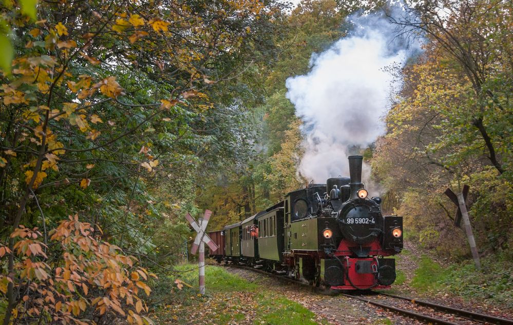 Harzgerode, 99 5902-4