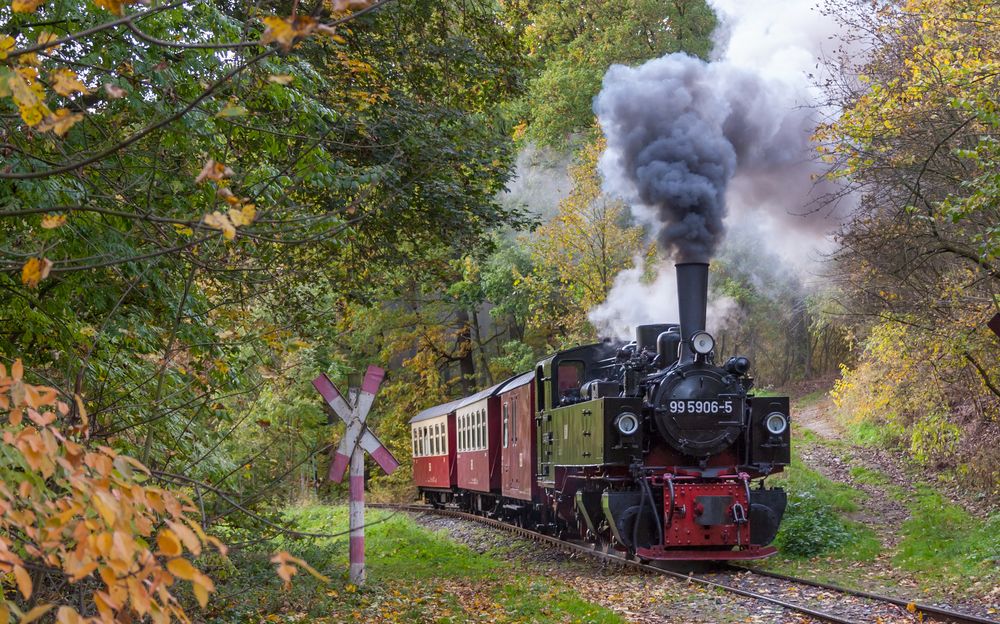 Harzgerode, 99 5906-5