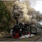 Harzimpressionen " Auf den Spuren der Harzer Schmalspurbahn..."