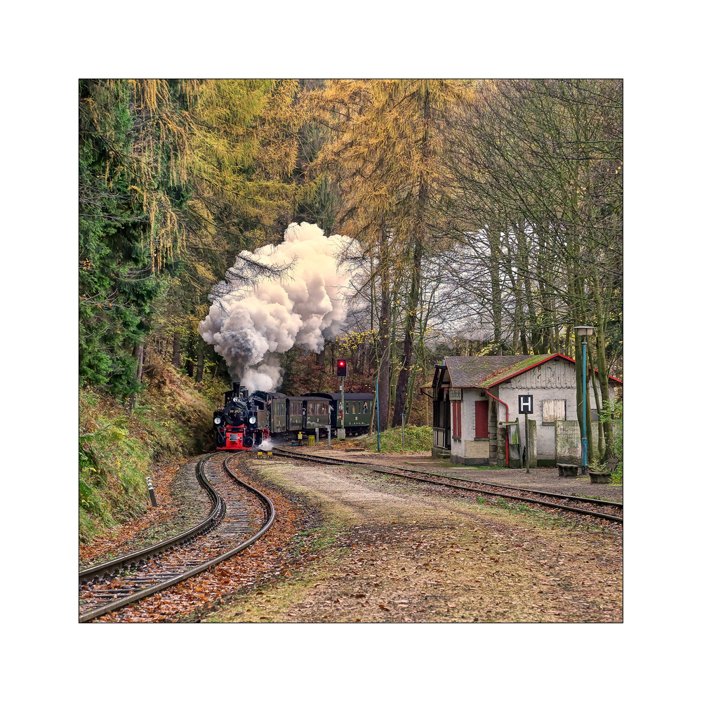 Harzimpressionen " Auf den Spuren der Harzer Schmalspurbahn**********..."