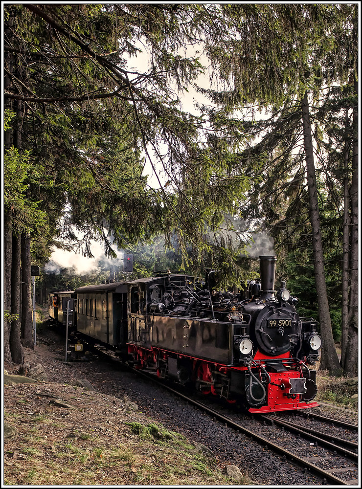 Harzimpressionen " Auf den Spuren der Harzer Schmalspurbahn*..."