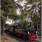 Harzimpressionen " Auf den Spuren der Harzer Schmalspurbahn*..."