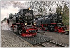 Harzimpressionen " Auf den Spuren der Harzer Schmalspurbahn****..."